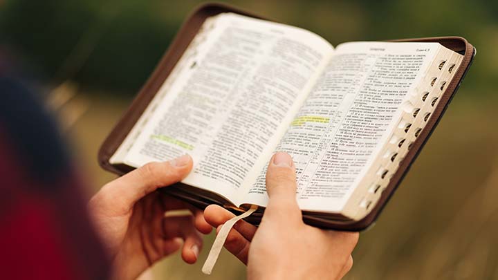 All Scripture is God-breathed and is useful for teaching, rebuking, correcting and training in righteousness, so...